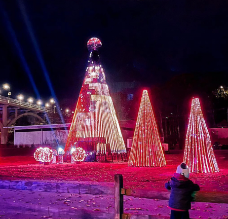 Световое дерево Елка новогодняя RGB «Мега»